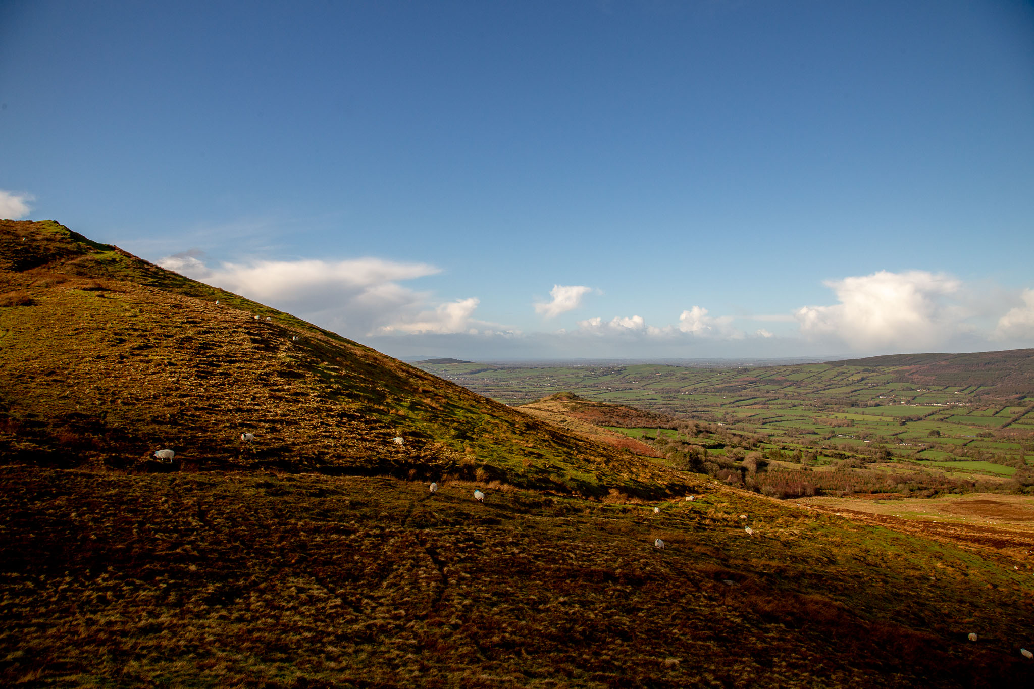 0210--Galtemore-0036.jpg