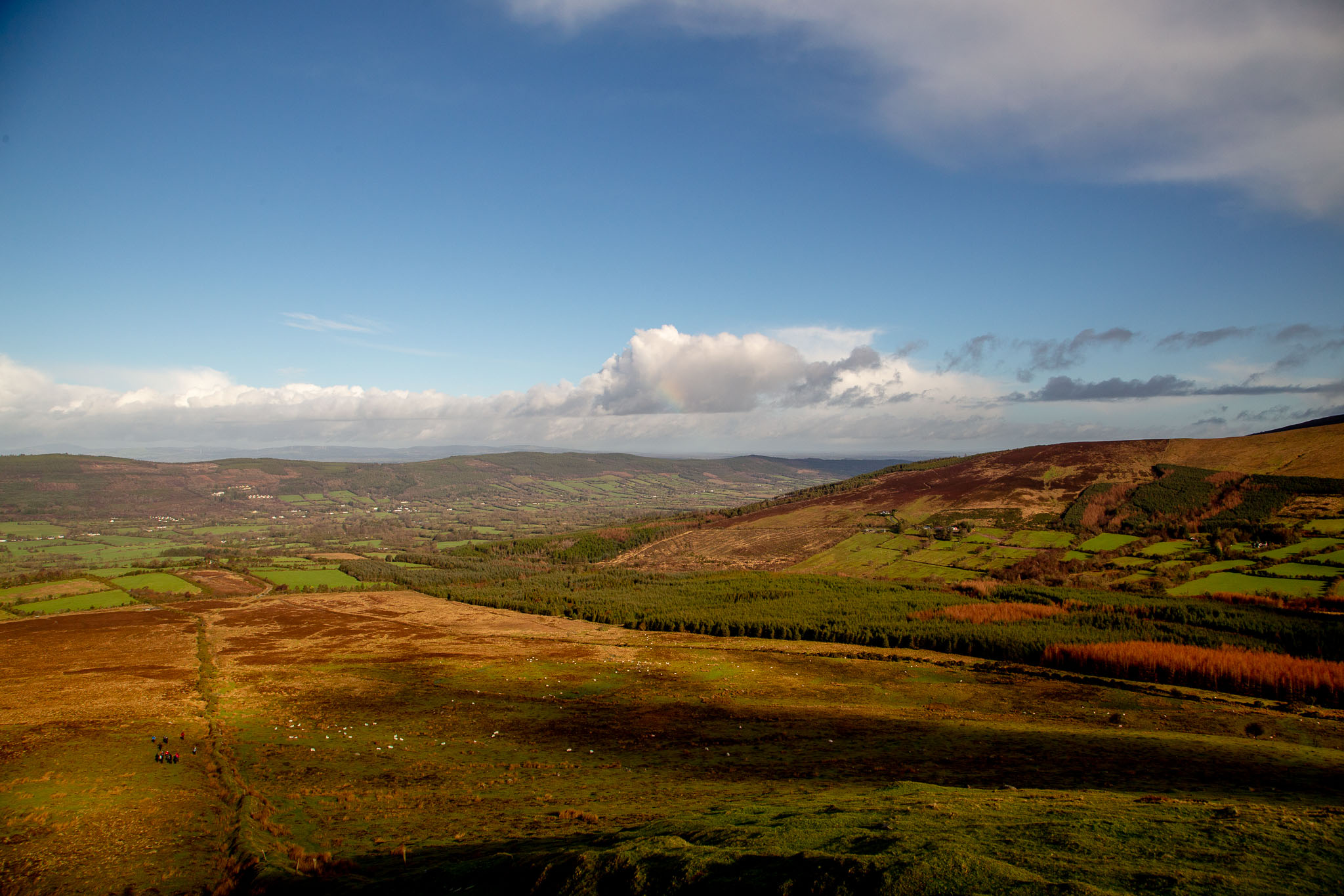 0210--Galtemore-0045.jpg
