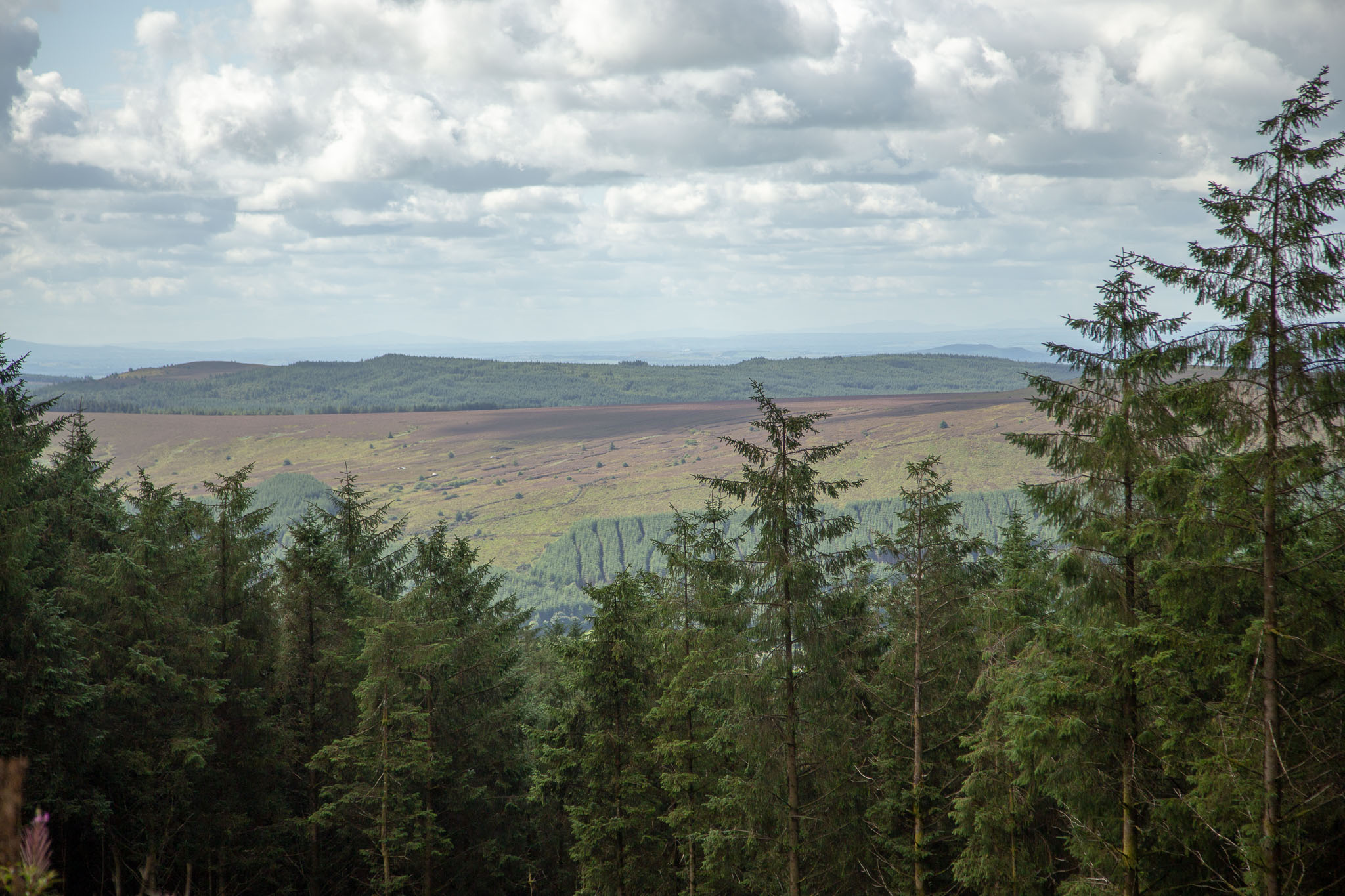 0825-KeepersHill-0041.jpg