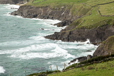 Dingle