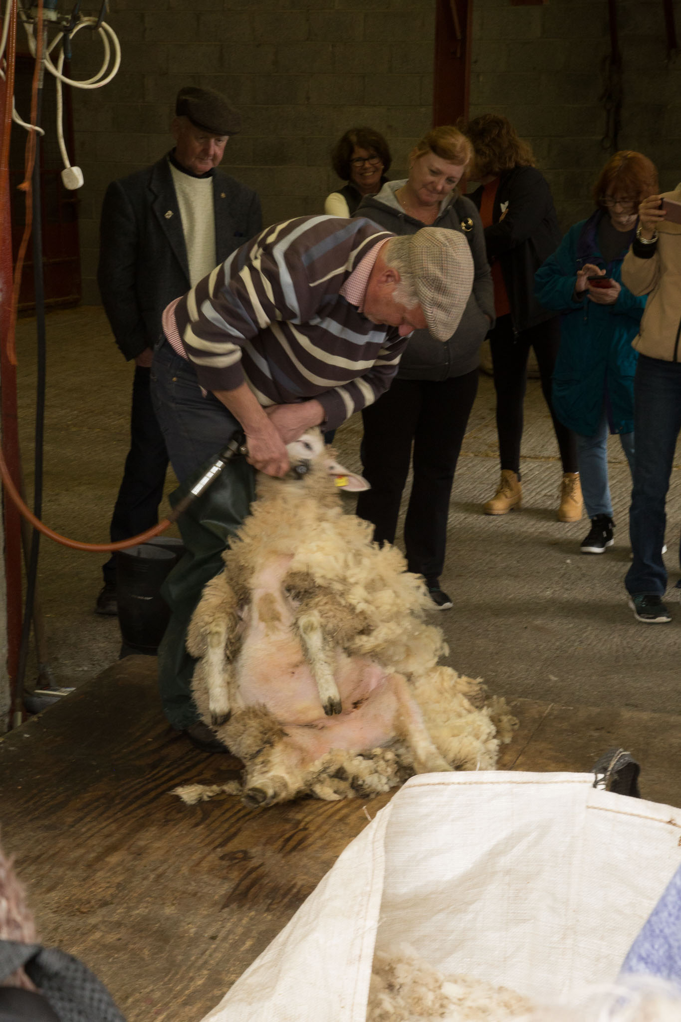 0906-SheepFarm-0016.jpg