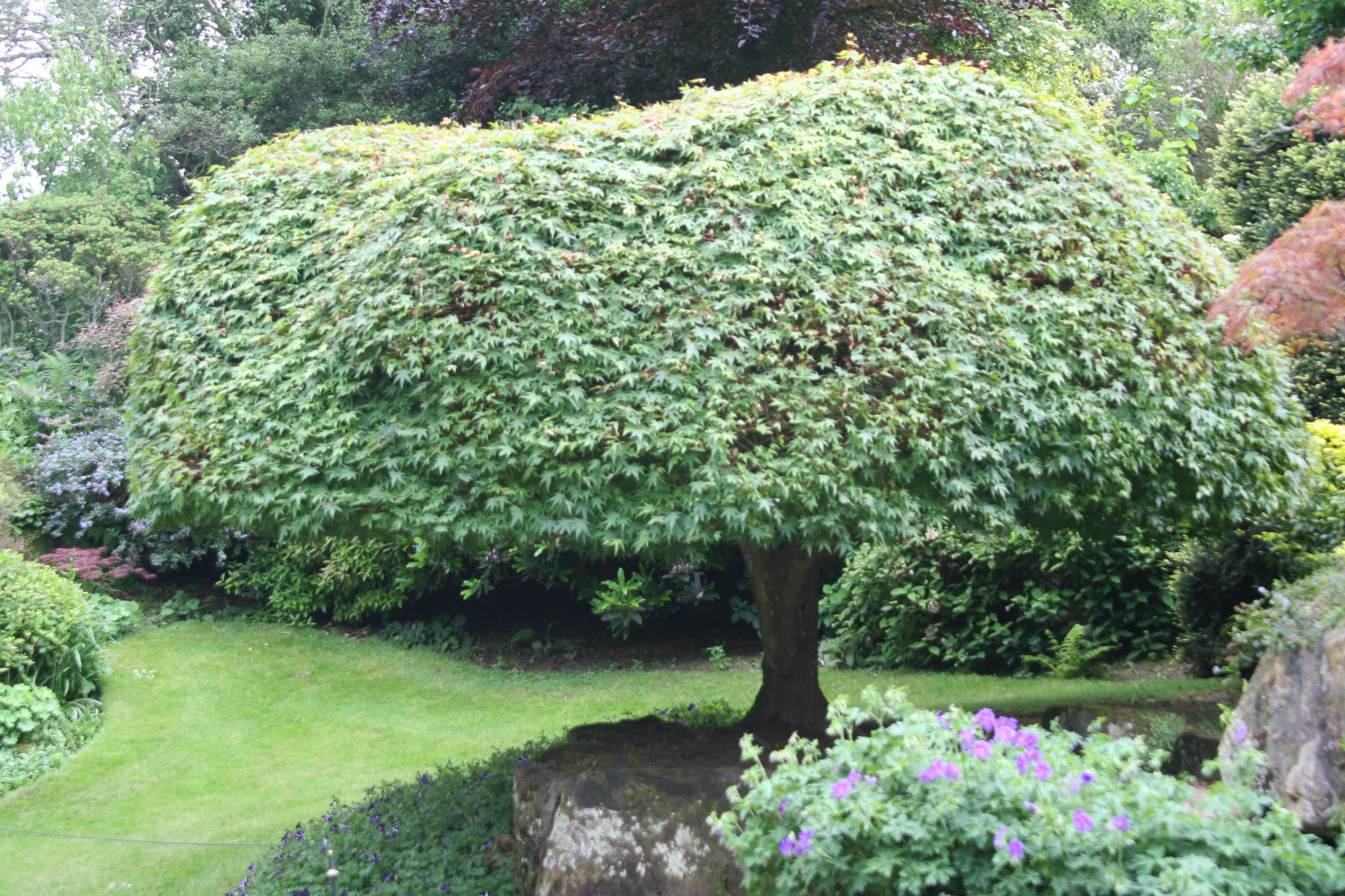 0603-HeverCastle-0019.jpg