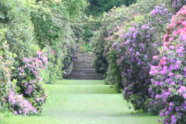Hever Castle