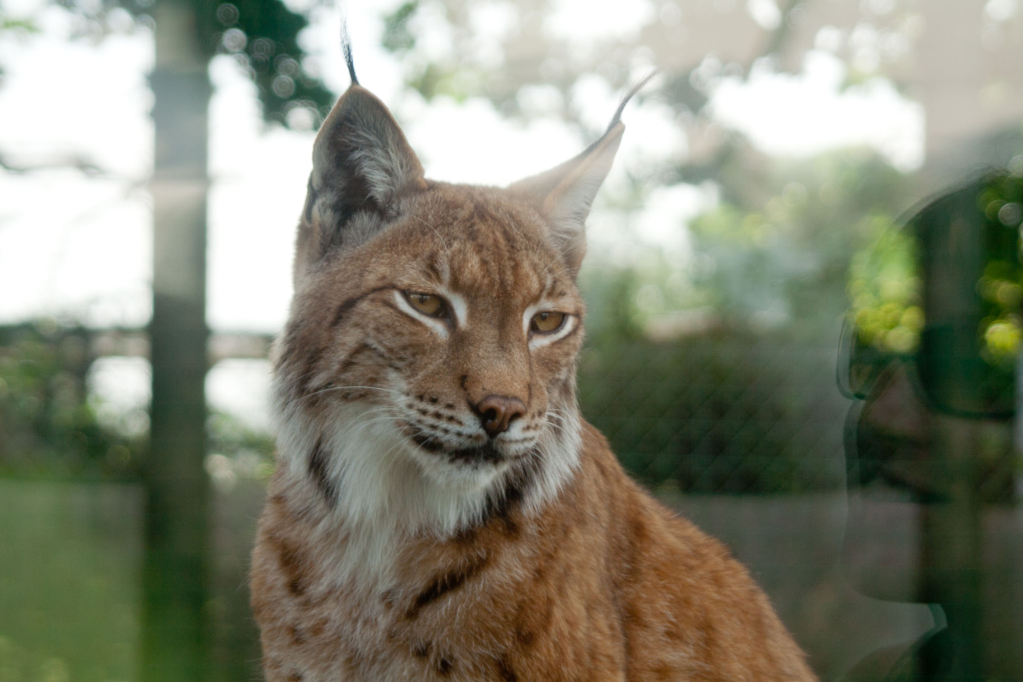 0627-WHF-0008.jpg