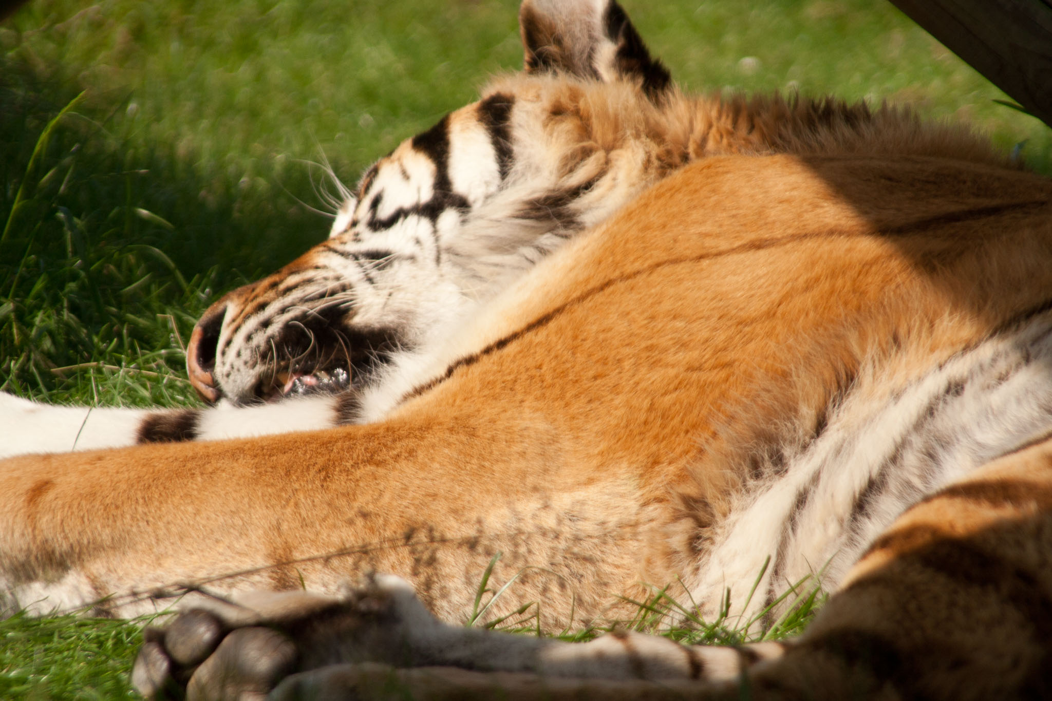 0627-WHF-0120.jpg