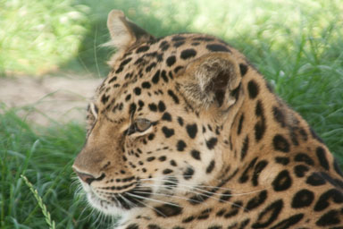 0627-WHF-0087.jpg