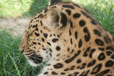 0627-WHF-0092.jpg