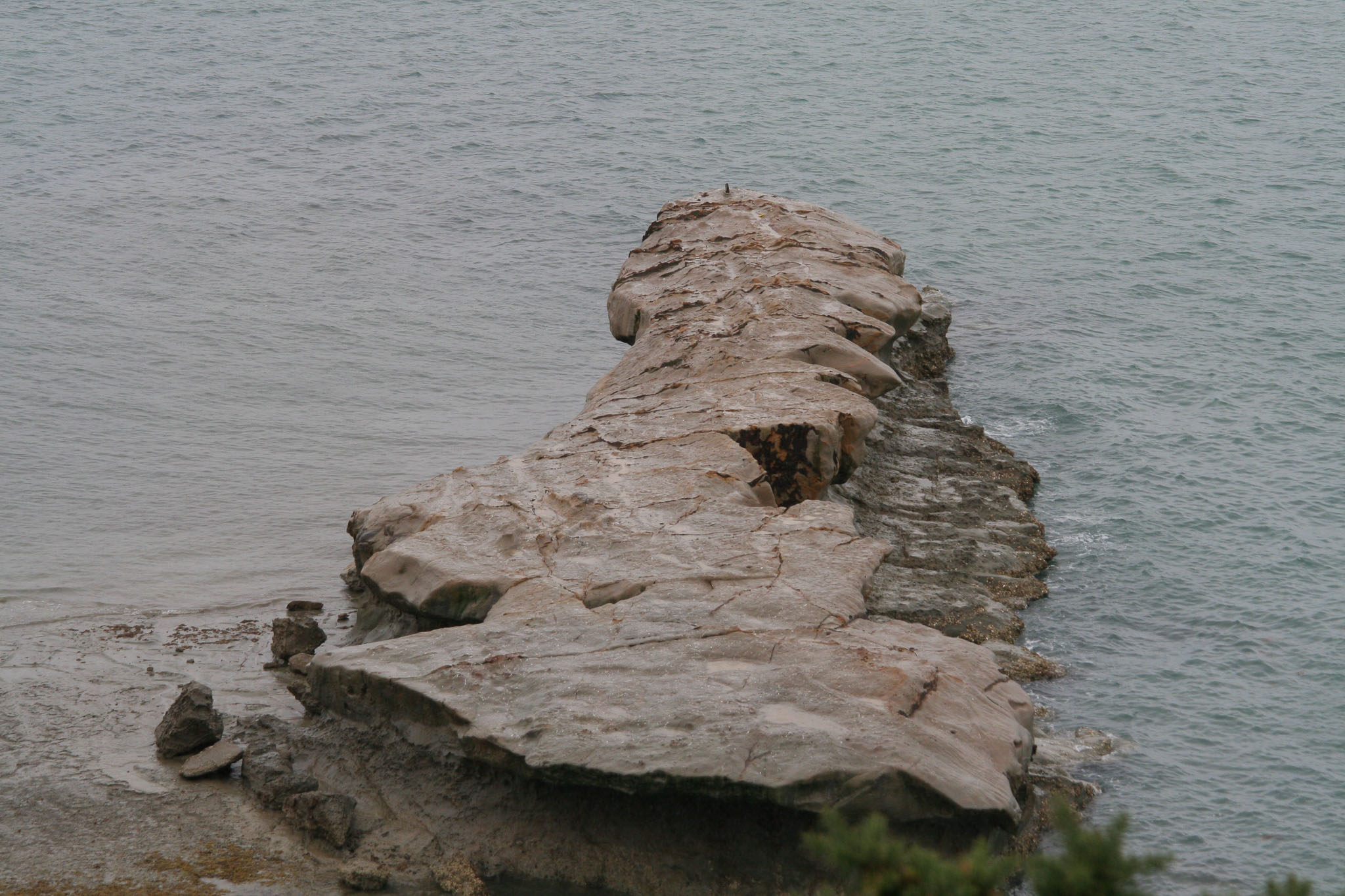 1219-Auckland-0006.jpg