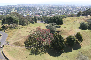 0108-Auckland-0002.jpg