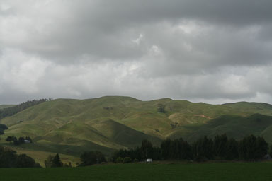 1221-Auckland-0017.jpg