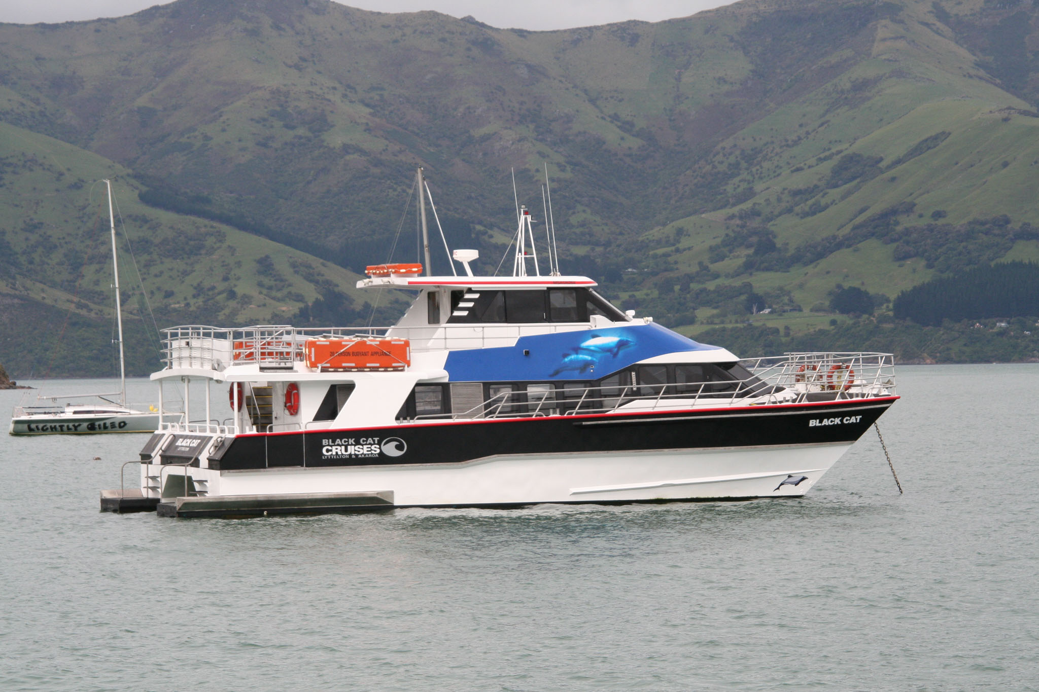 1229-Bluecat_Akaroa-0013.jpg