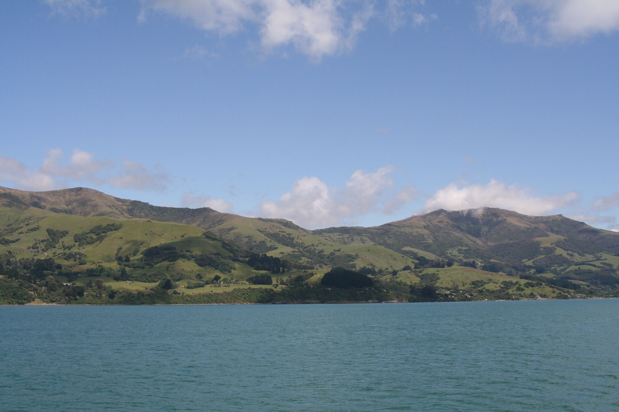 1229-Bluecat_Akaroa-0070.jpg