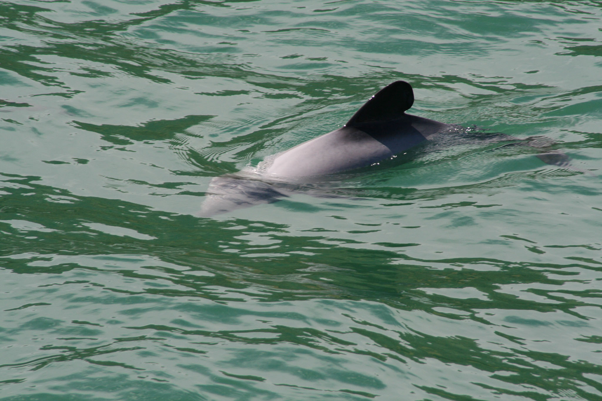 1229-Bluecat_Akaroa-0083.jpg