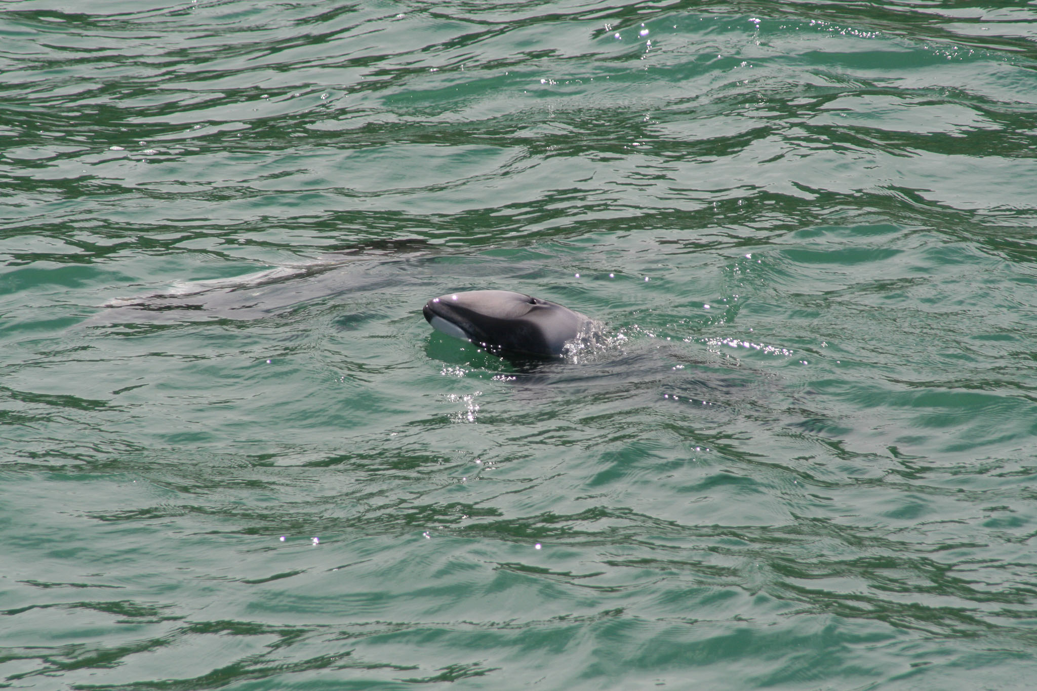 1229-Bluecat_Akaroa-0085.jpg