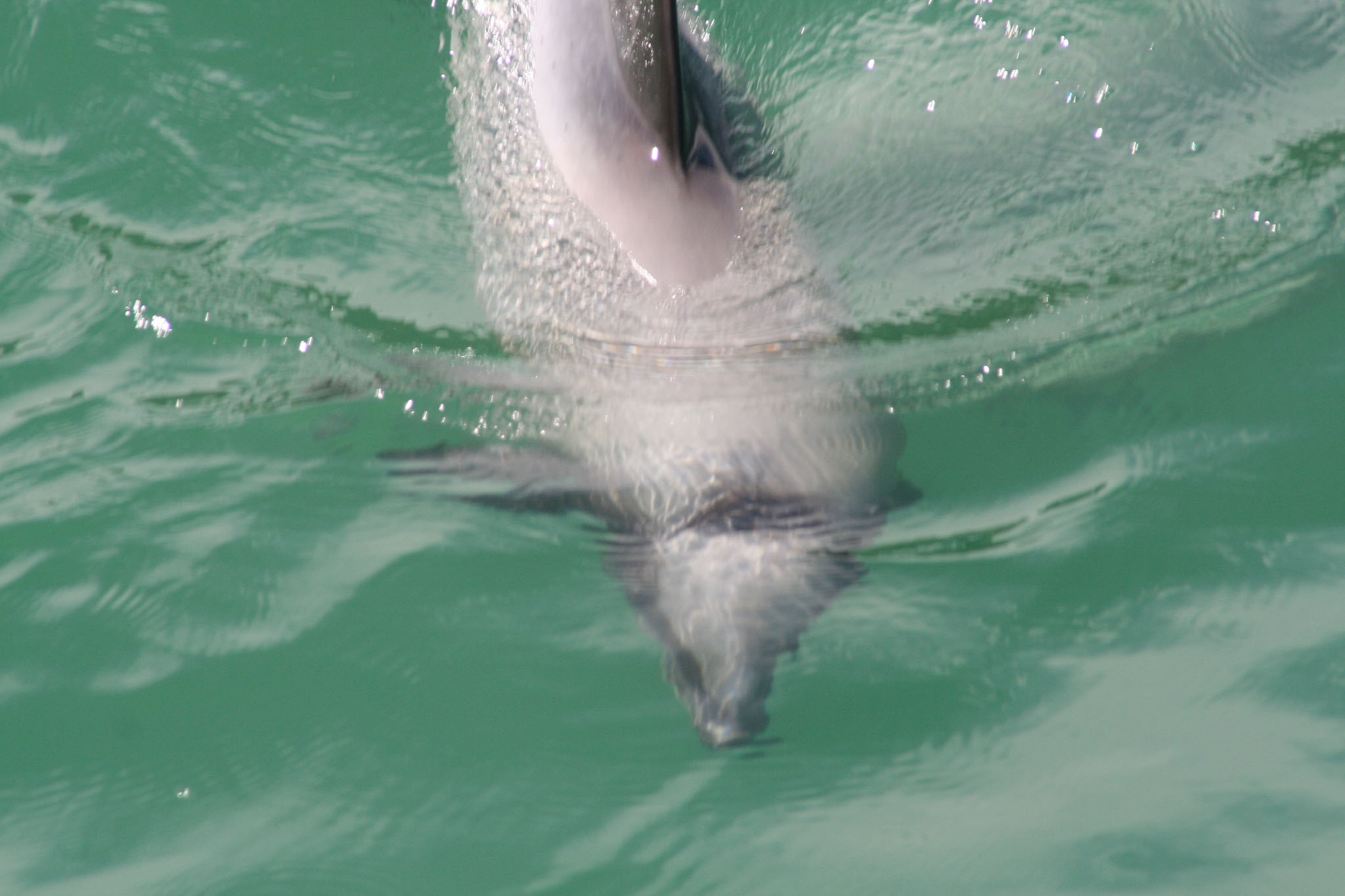 1229-Bluecat_Akaroa-0086.jpg