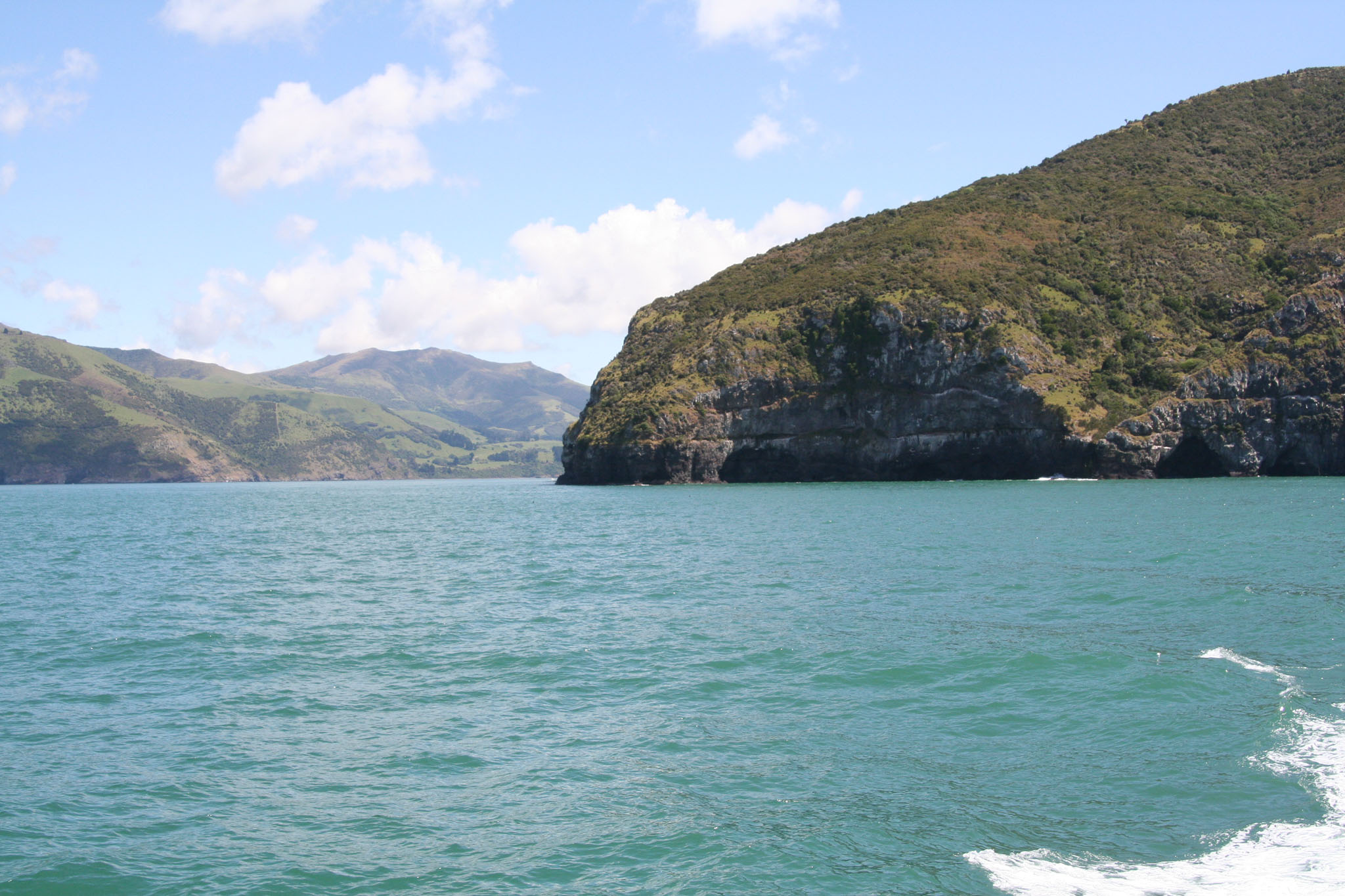 1229-Bluecat_Akaroa-0102.jpg