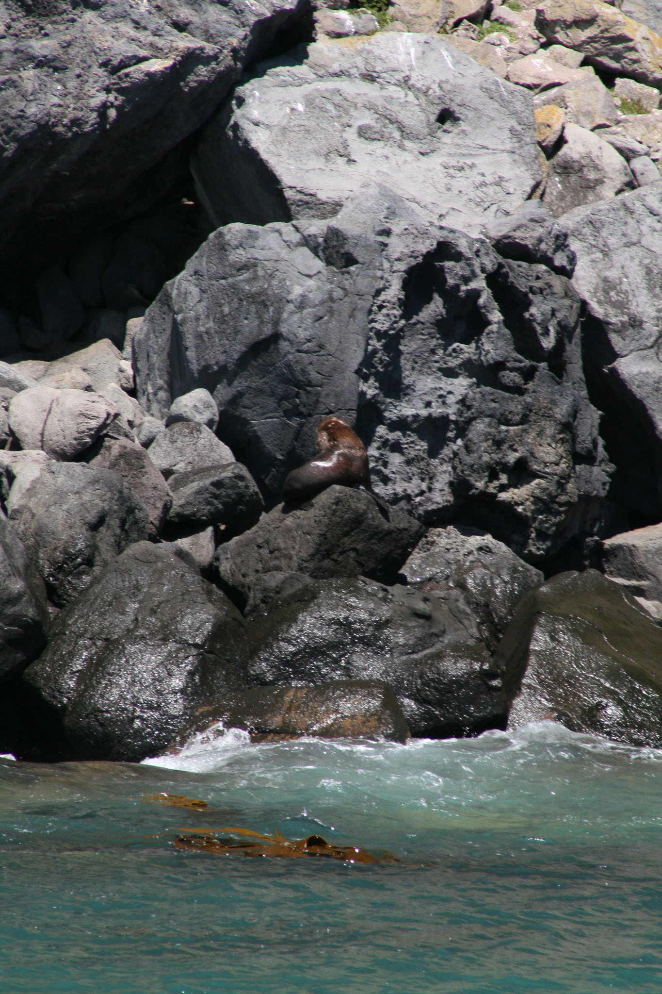 1229-Bluecat_Akaroa-0112.jpg