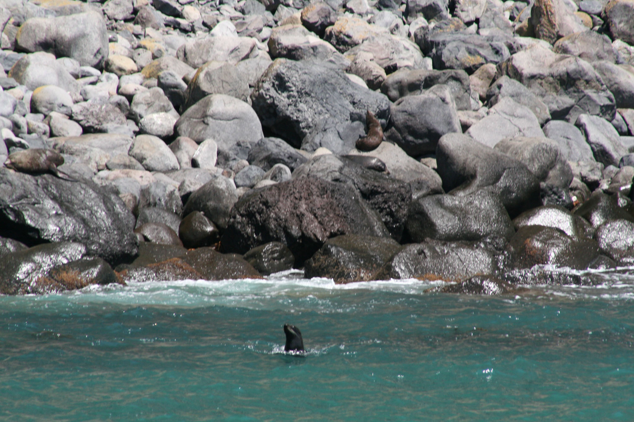 1229-Bluecat_Akaroa-0120.jpg