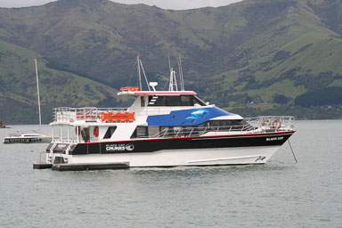 1229-Bluecat_Akaroa-0013.jpg