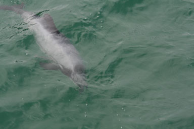 1229-Bluecat_Akaroa-0052.jpg