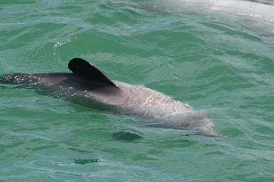 1229-Bluecat_Akaroa-0064.jpg