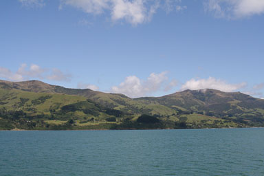 1229-Bluecat_Akaroa-0070.jpg