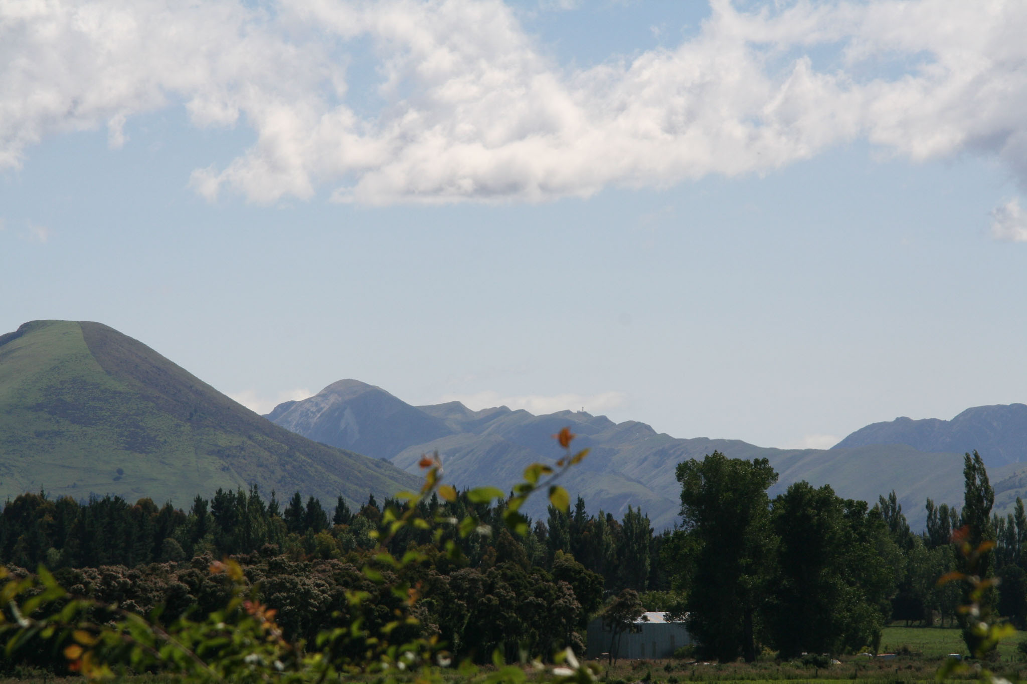 1228-Christchurch-0005.jpg