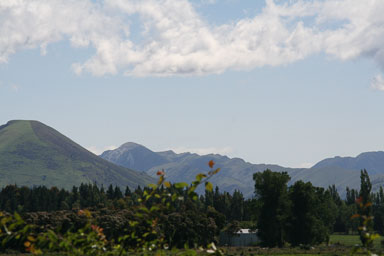1228-Christchurch-0005.jpg