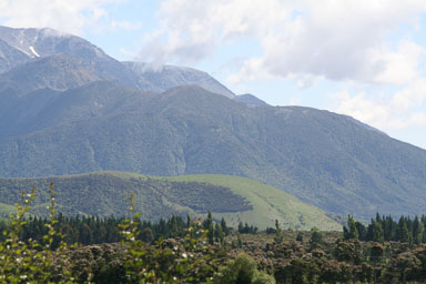 1228-Christchurch-0007.jpg