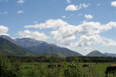 1228-Christchurch-0010.jpg