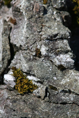 0101-FranzJosef-0030.jpg
