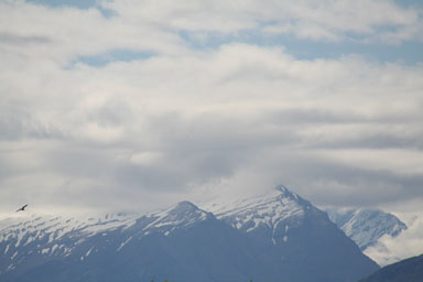 0101-FranzJosef-0044.jpg