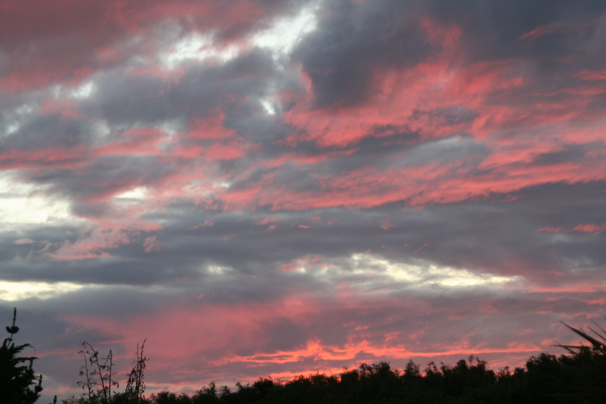 1231-Hokitika-0087.jpg