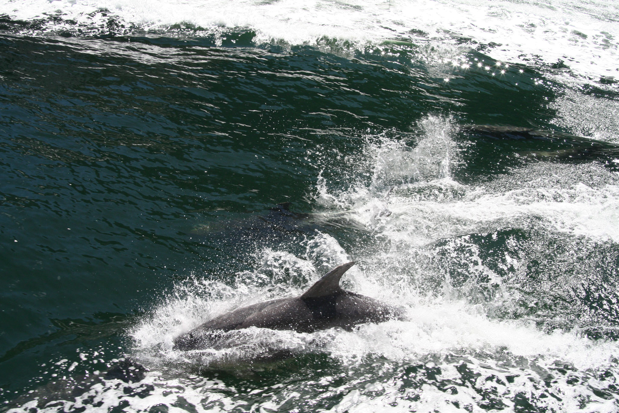 0101-MilfordSound-0074.jpg