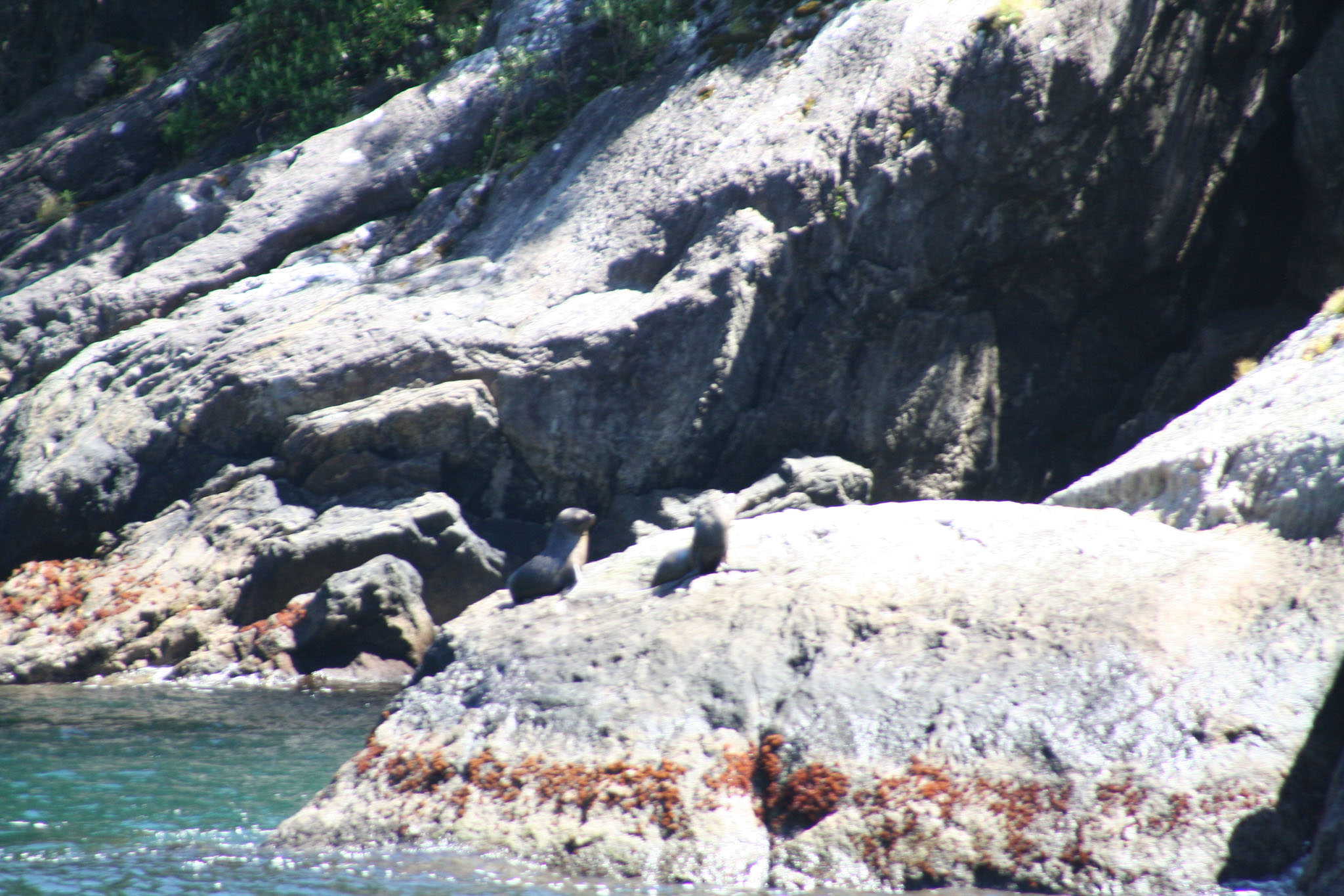 0101-MilfordSound-0127.jpg