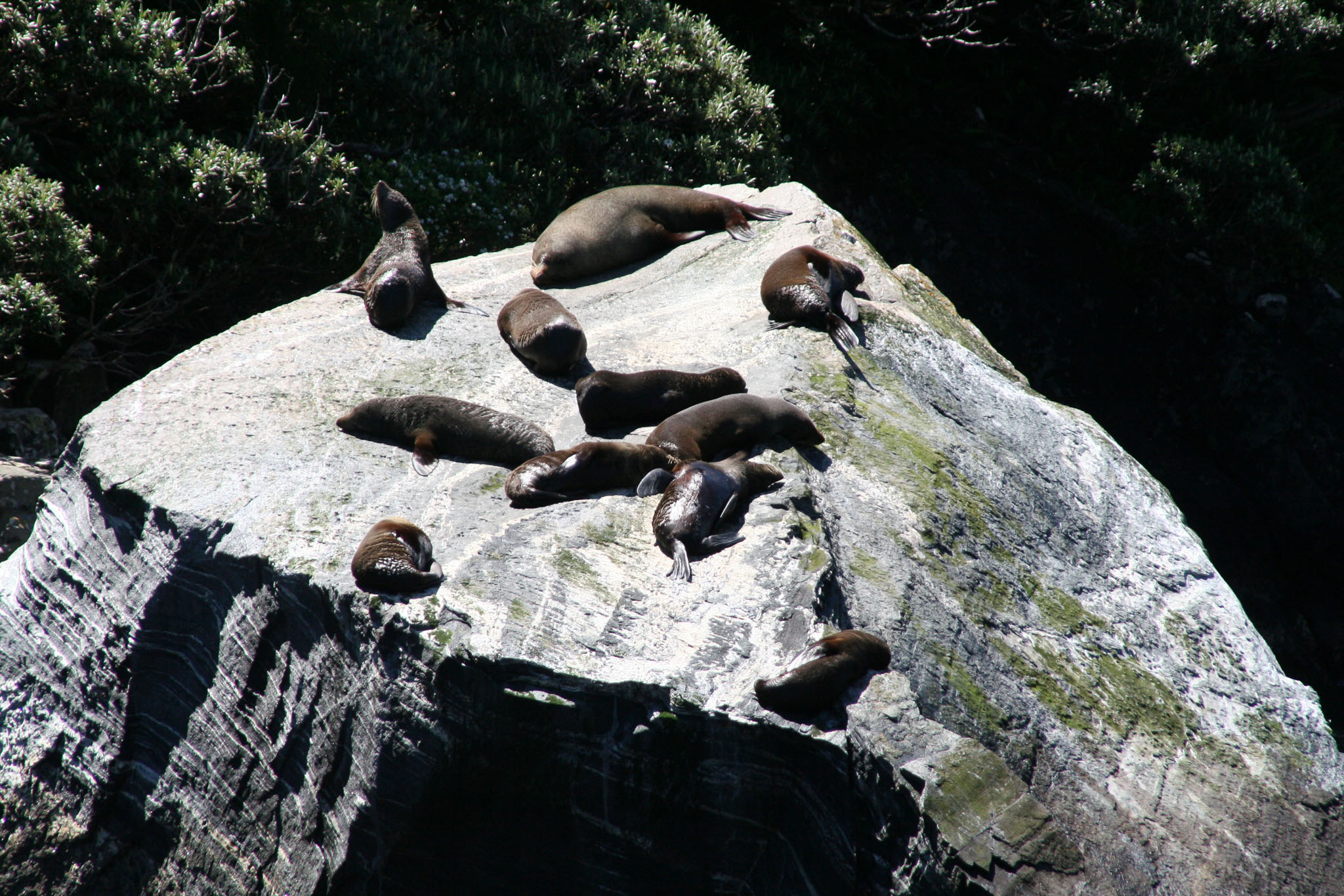 0101-MilfordSound-0140.jpg