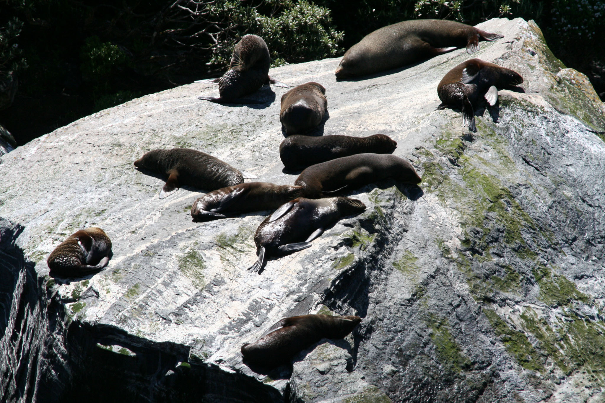 0101-MilfordSound-0141.jpg