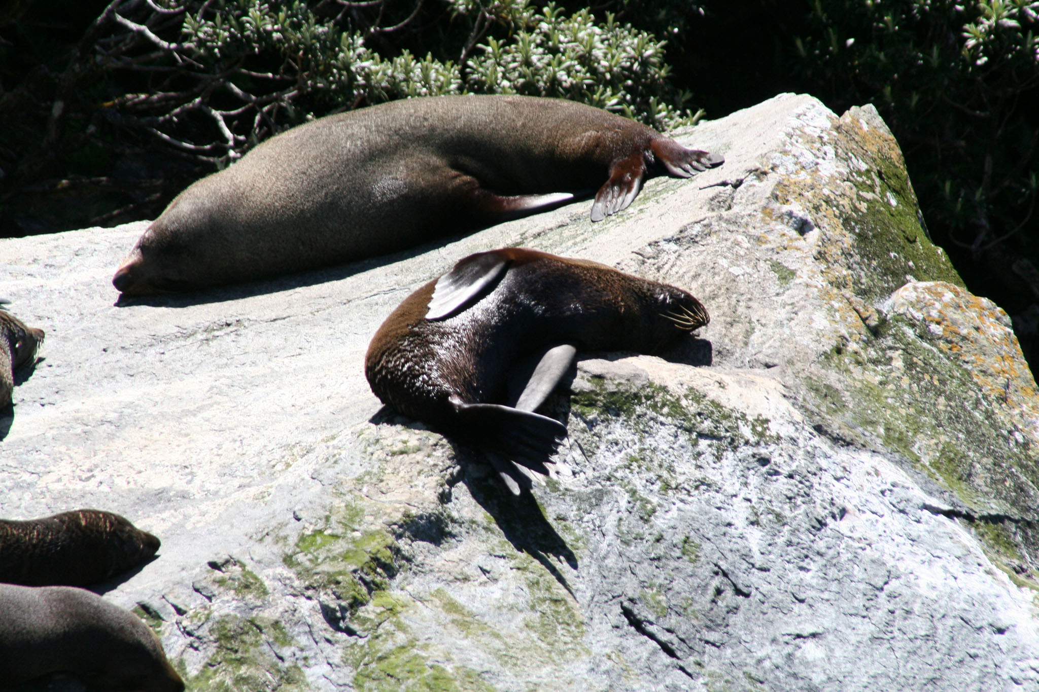 0101-MilfordSound-0145.jpg