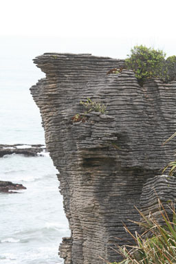 0105-PancakeRocks-0006.jpg