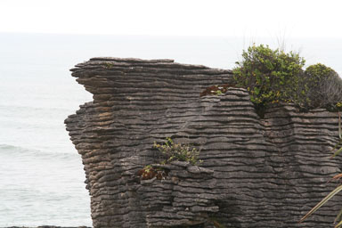 0105-PancakeRocks-0007.jpg