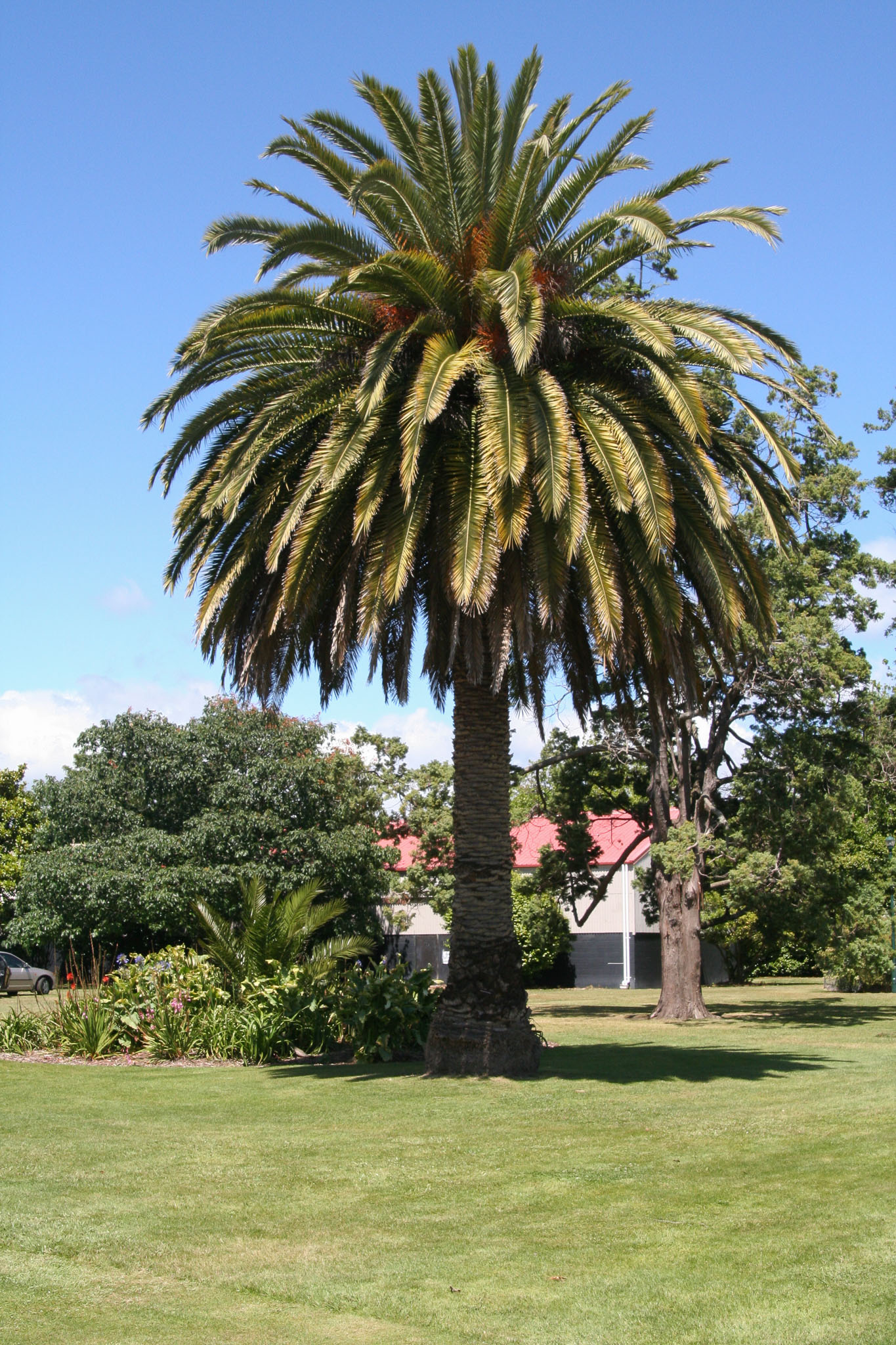 1222-Rotorua-0007.jpg