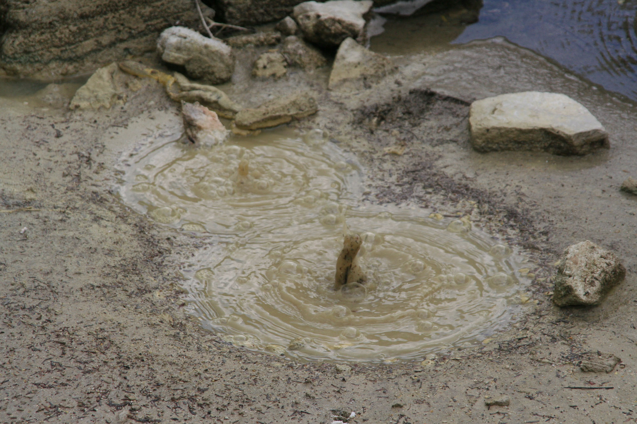 1223-Rotorua-0056.jpg