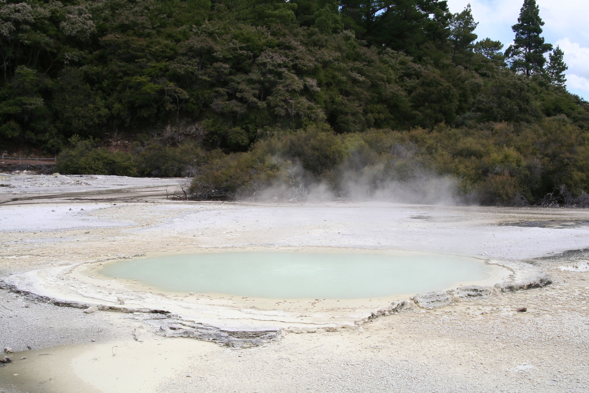 1223-Rotorua-0064.jpg