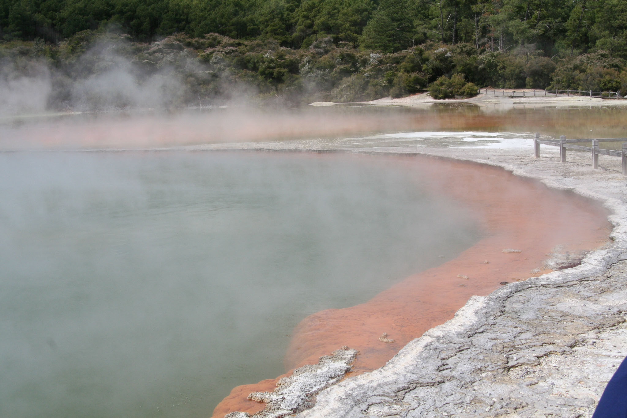 1223-Rotorua-0107.jpg