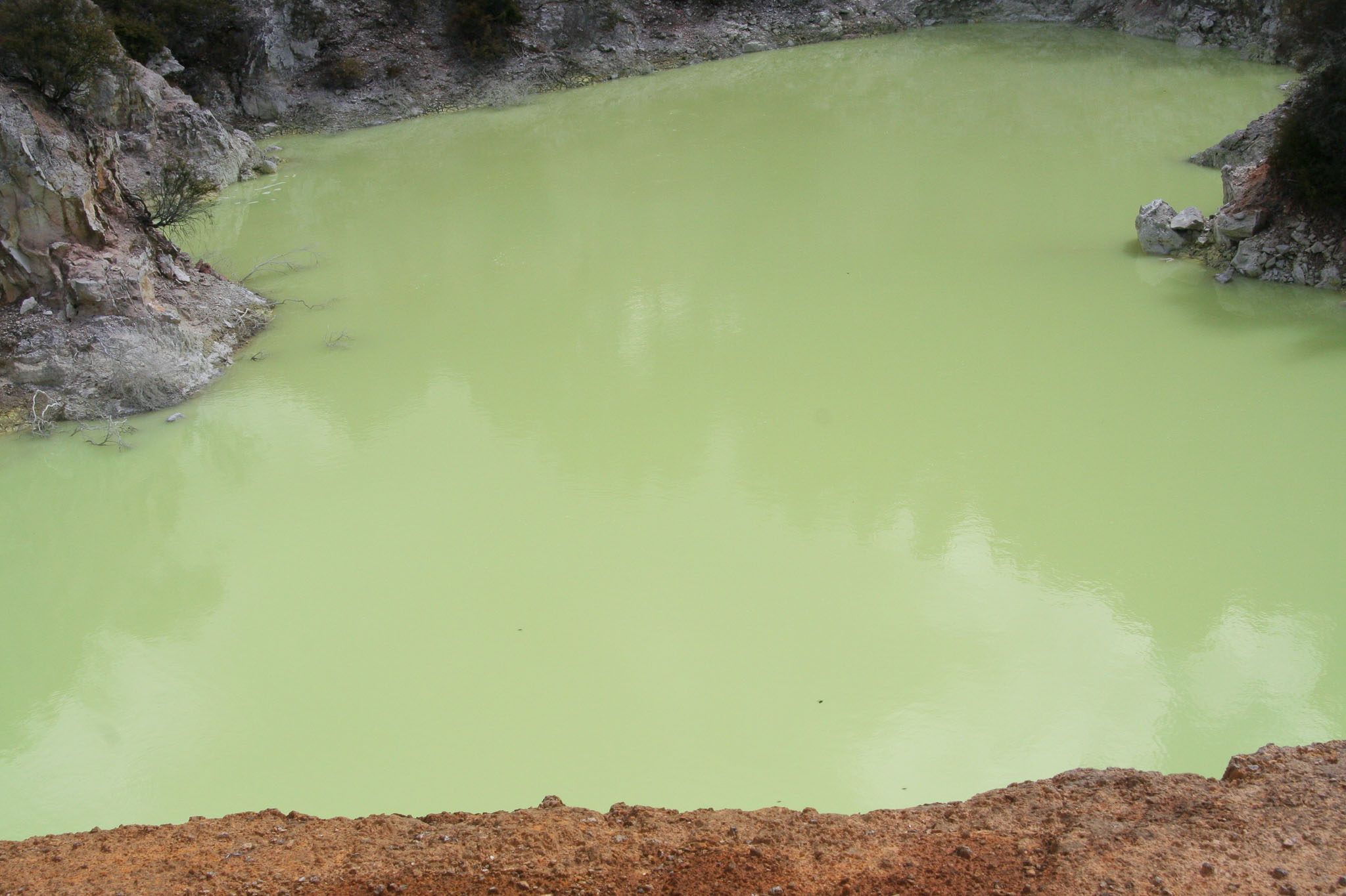 1223-Rotorua-0124.jpg