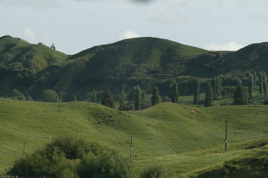 1222-Rotorua-0001.jpg