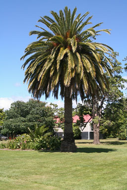 1222-Rotorua-0007.jpg