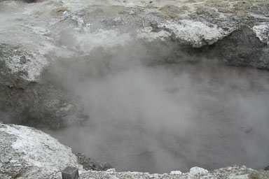 1223-Rotorua-0027.jpg