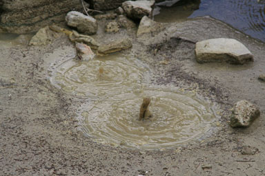 1223-Rotorua-0056.jpg