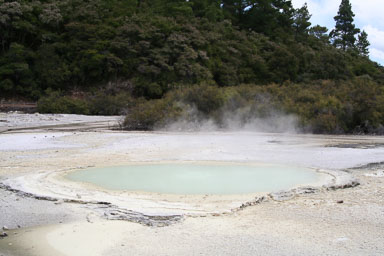 1223-Rotorua-0064.jpg